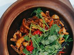 -五谷芳乳鸽王(梅沙老店)