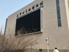 -辽宁古生物博物馆
