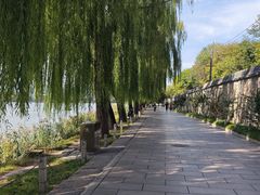 -皇家御河游(紫御湾码头)