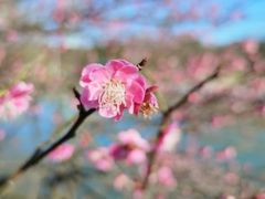 -白塘生态植物园
