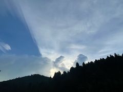 -武陵山森林公园