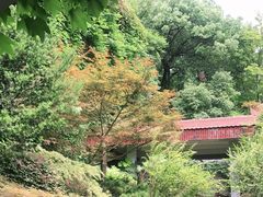 -中国茶叶博物馆(双峰馆区)