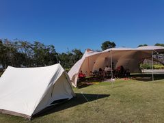 -春花秋色城市公园