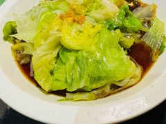 -新白鹿餐厅(百联中环店)