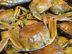 -港畔赶海蒸汽海鲜烧烤自助(仙螺岛店)