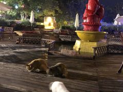 景观位-静之湖湖畔餐厅