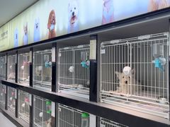 -翊宠yipet猫狗购宠庄园