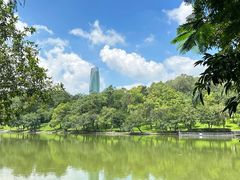-莲花山公园