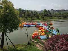 -枫香湖儿童公园