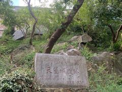 -紫金山天文台