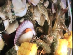 -拾贝海鲜馆（海鲜粤菜）(花果园店)