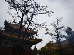 -雍和宫