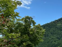 -三千院
