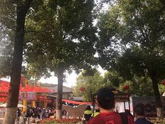 -松山湖梦幻百花洲