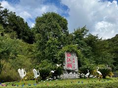 -广州白江湖森林公园