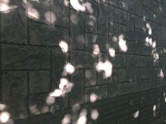 咱家药膳把子肉-咱家王新国把子肉(县东巷店)