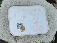 -上海佘山国家森林公园天马山园