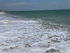 -渡海小渔村.老辈日照菜