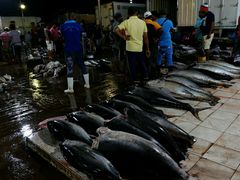 -尼甘布海鲜市场