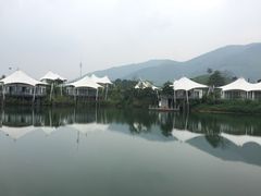 -帐篷客·溪龙茶谷度假酒店
