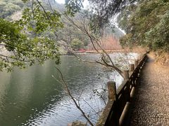 -宁海森林温泉