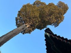 -恭王府博物馆