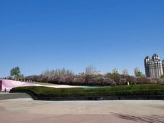 -群力丁香公园