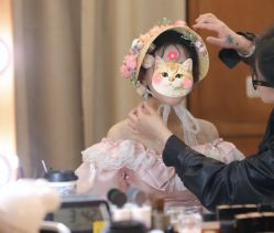 -金夫人婚纱摄影(总店)