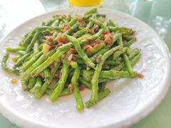 -兴隆槟榔园休闲农庄