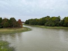 -上海海湾国家森林公园