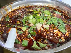 -小杨翘脚牛肉
