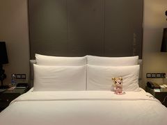 -重庆富力艾美酒店