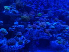 -太平洋海底世界