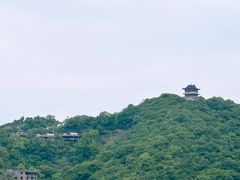 -黄贤森林公园