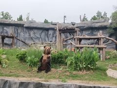 -麦当劳(得来速车道点餐 五里墩店)