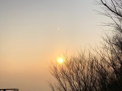 -紫金山山顶公园