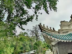 -武汉大学-樱园