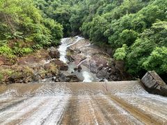 -广州白江湖森林公园