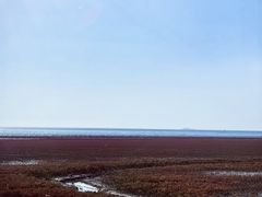 -红海滩国家风景廊道