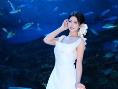 -海合安成都极地海洋公园
