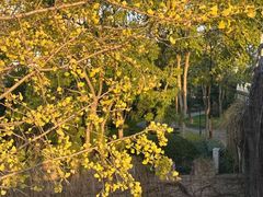 -川沙古镇-停车场