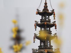 -梅村泰伯庙