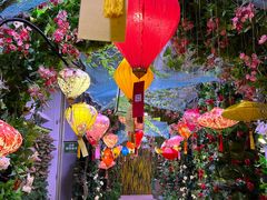 -正佳雨林生态植物园
