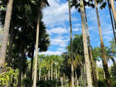 -中国科学院西双版纳热带植物园
