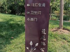 -莲花池公园