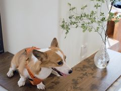 -fishtank鱼缸咖啡(三山街店)