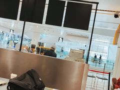 -麦当劳(北京大兴机场二层国内到达(安检外)店)