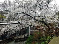-吴山景区