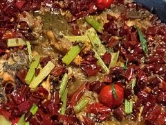 -老板恋上鱼(恒隆广场店)