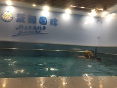 -蓝鲸国际少儿游泳训练中心(群力店)